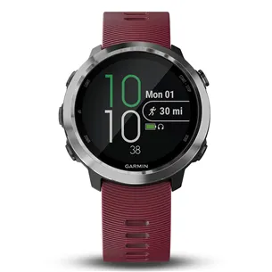 GPS-watch Garmin Forerunner 645 Music